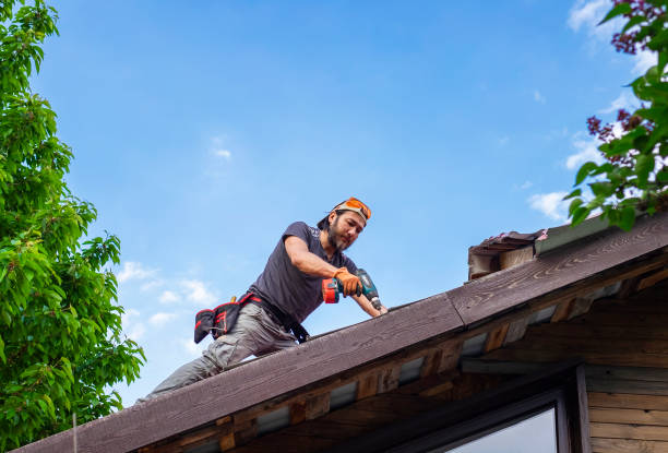 Best Gutter Installation and Repair  in Hackleburg, AL
