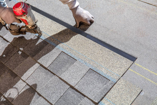 Best Storm Damage Roof Repair  in Hackleburg, AL